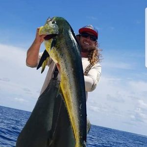 Meet your Posher, Justin